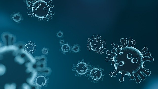 Rischio biologico